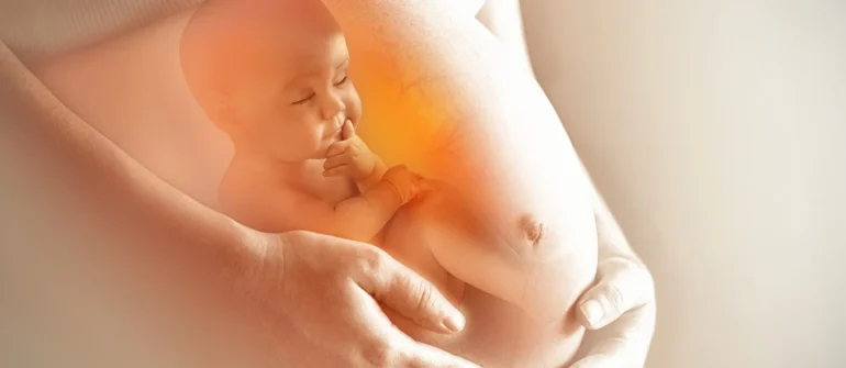 Anne Karnında Göz ve Görme Sürecinin Gelişimi